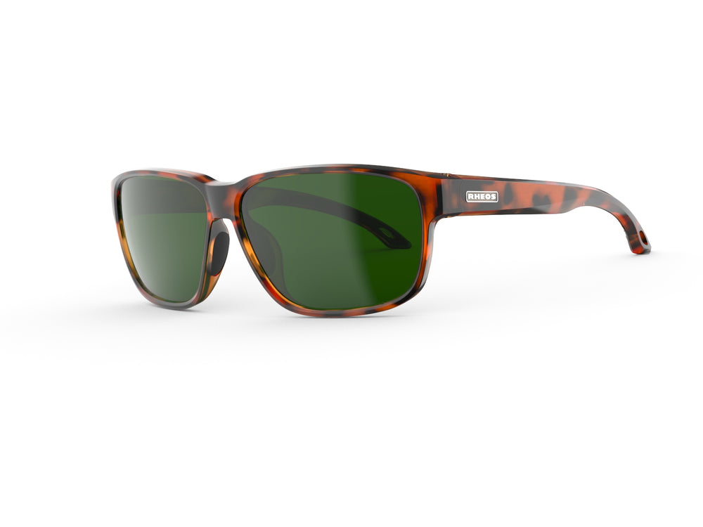 #frame-lens-color_tortoise-moss
