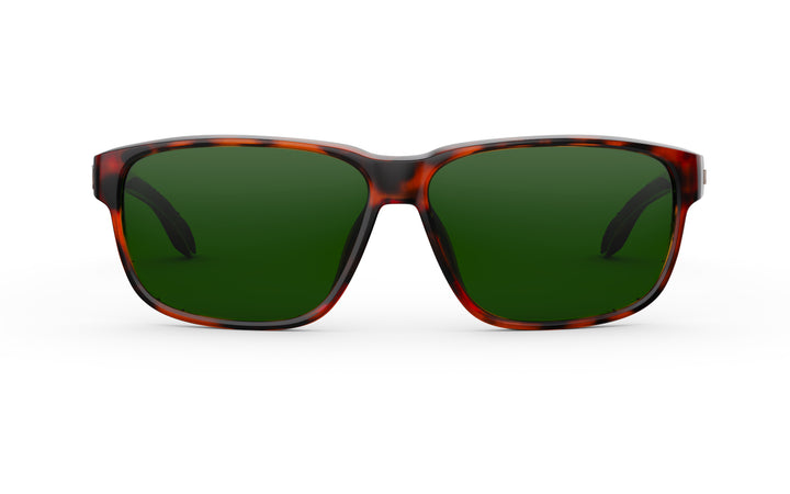 #frame-lens-color_tortoise-moss