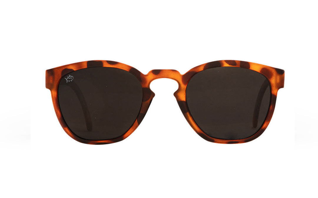 #frame-lens-color_tortoise-gunmetal