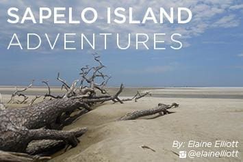 Sapelo Island Beaches
