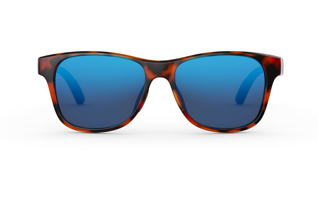#frame-lens-color_tortoise-blue-heron