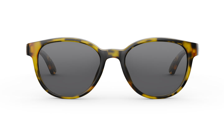 #frame-lens-color_dark-tortoise-smoke