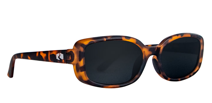 #frame-lens-color_tortoise-gunmetal